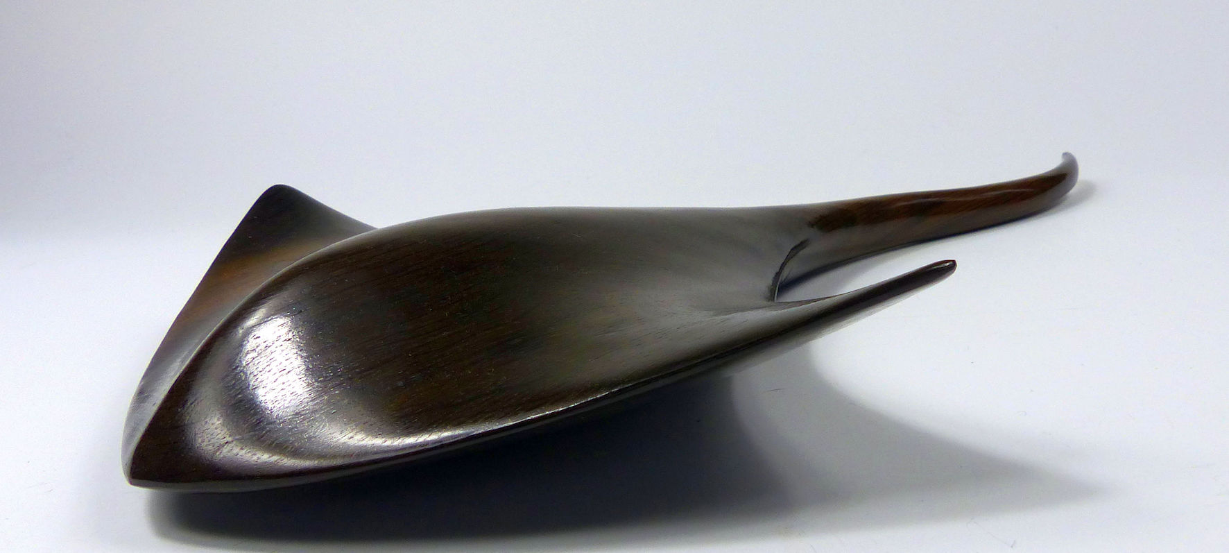 Stingray in Bog Oak - 5-11-15 - Peter Vernon (angled view) small file.jpeg