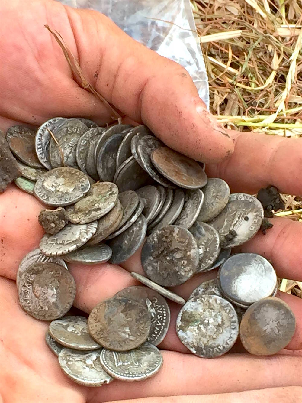 Bridport Hoard of Roman silver Denarii.jpg