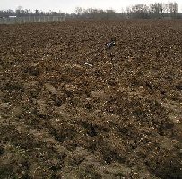 The field - nasty conditions but once the sleet had stopped it was great to be out for the first time in ages.