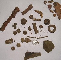 The finds (the stones and leaf top left were to remind me of the cans, large bit of iron and coke tidily placed under the hedge :) )