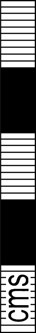 PAS scale 5cms ve.jpg