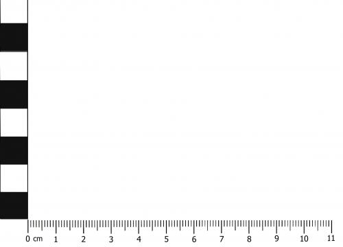 Scale_to_11cm.jpg