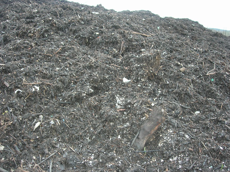 green waste 003.JPG